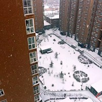 真下雪了！今日林州的雪景到底美成啥样了