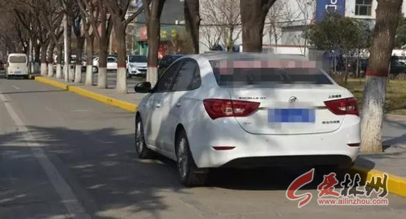 林州:龙安路设禁止停车线,禁止长时停车标示图片