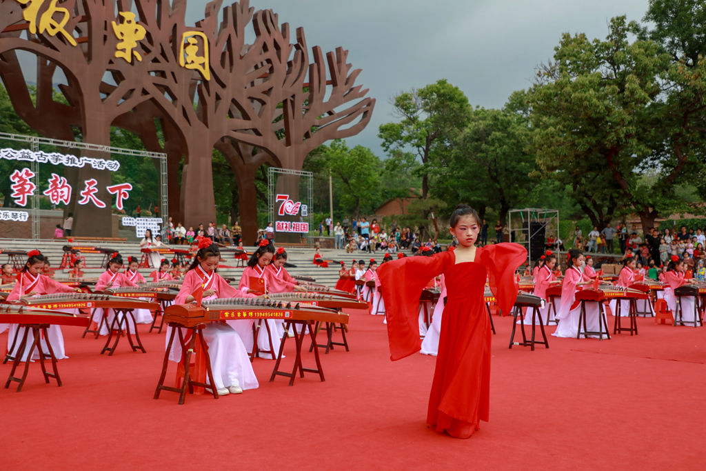 中国古筝日·盛世国乐·筝韵天下 林州百人古筝音乐会 (91)