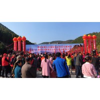 2019年林州市第17届柏尖红叶文化旅游节盛大开幕  吸引众多游客徒步登高醉赏红叶