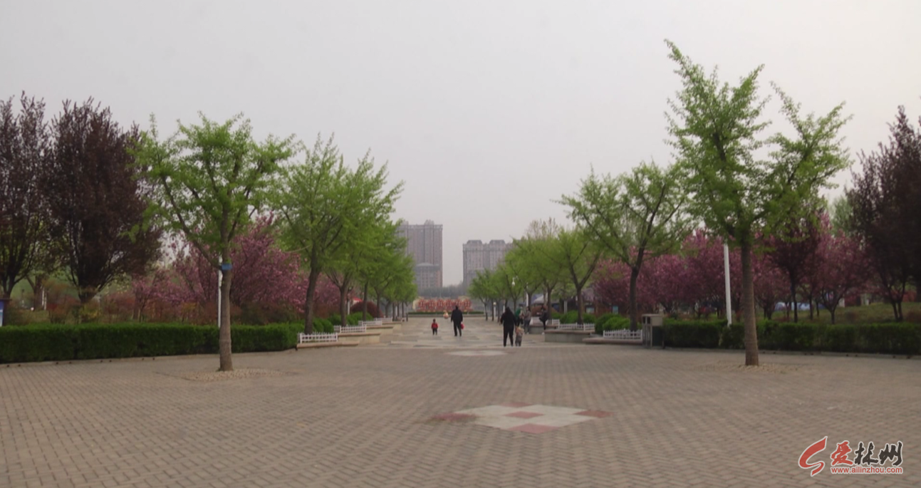 QQ浏览器截图20200409102745.png