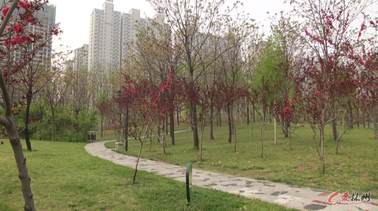 QQ浏览器截图20200409114749.png