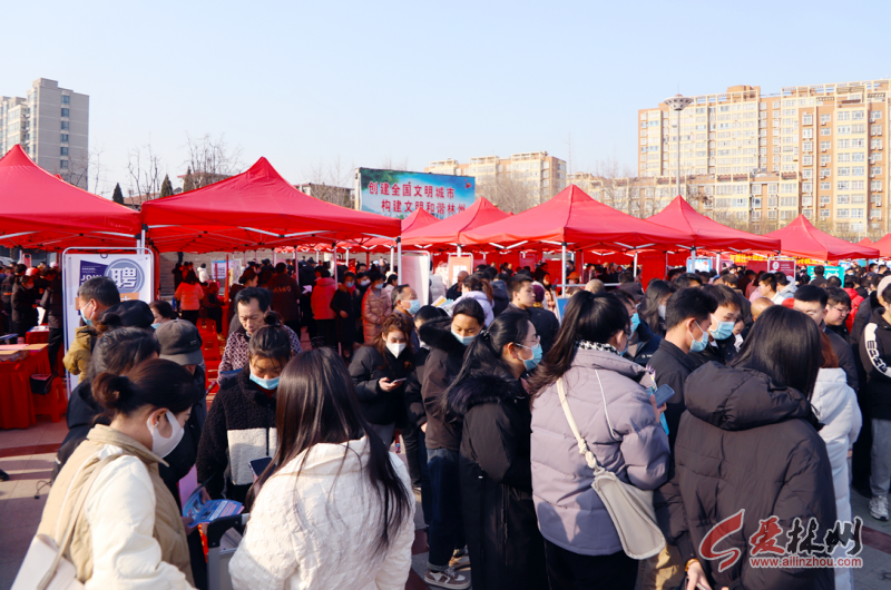 微信截图_20230203235843