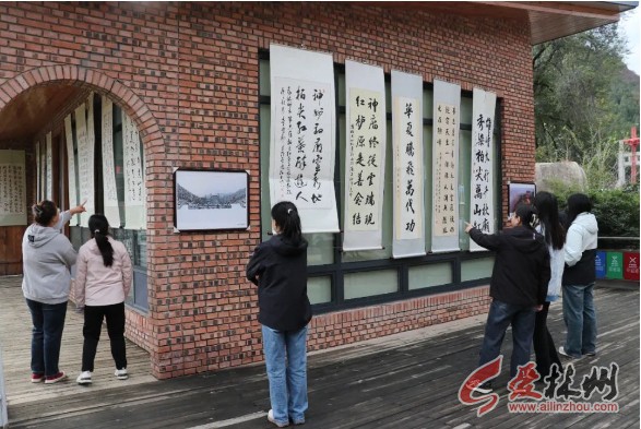 微信截图_20241022163753