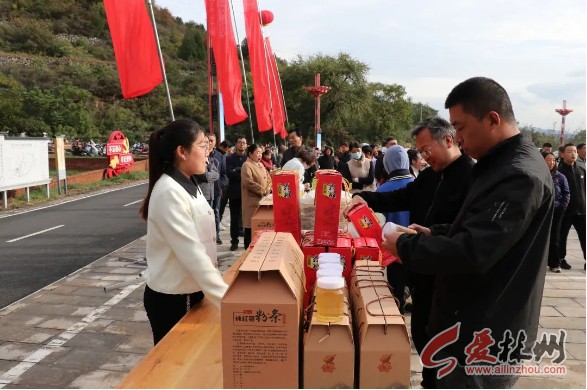 微信截图_20241022163812