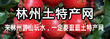 林州土特产网,安阳土特产